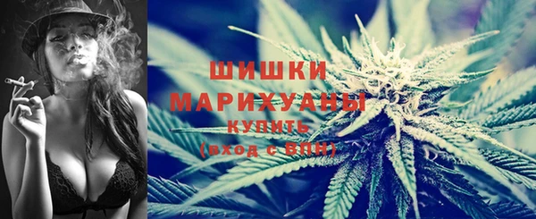 шишки Армянск